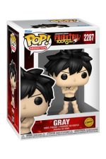 Funko POP! Fairy Tail-100 Years Quest Gray #2287 Chase